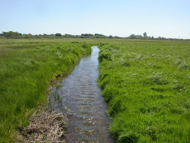 Ogber, stream. Stream on 1314812; marked on OS as a drain, it appears to be flowing too fast to be one. Appears to leave the Avon North of Dudmoor Farm, and rejoin it further South.