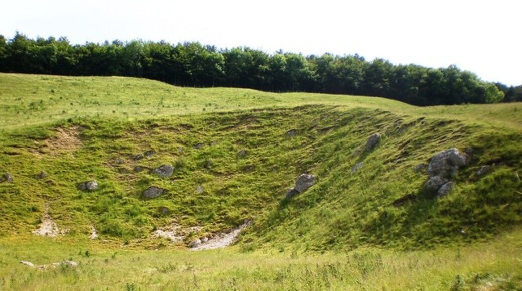 "Thorpe Bassett"-foto av Dr Patty McAlpin (CC BY-SA) / Urklipp från original