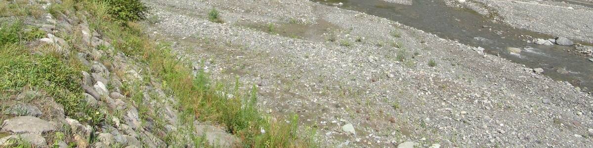 Photo "MIdai River in July, 2013" by さかおり (Creative Commons Attribution 3.0) / Cropped from original