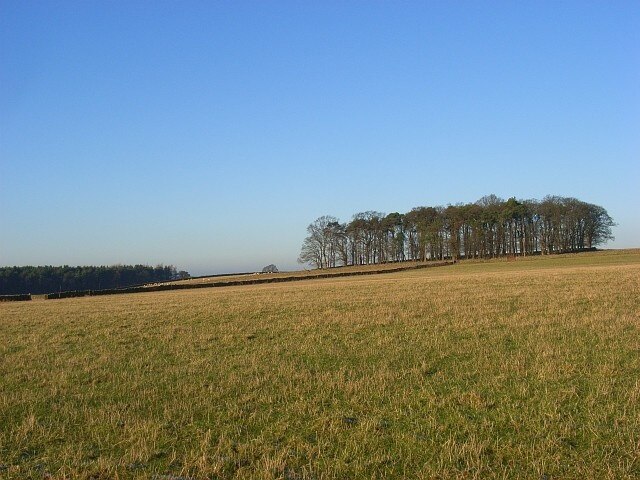 Foto "Newbiggin" por Andrew Smith (CC BY-SA) / Recortada de la original