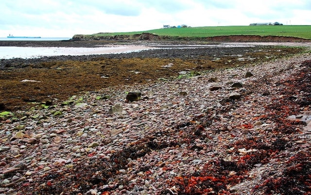 Pebbles, boulders and the strandline Scapa Bay looking SW.
