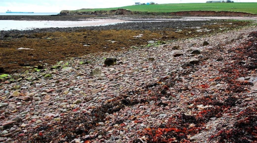Photo "Scapa Beach" by Ian Balcombe (CC BY-SA) / Cropped from original