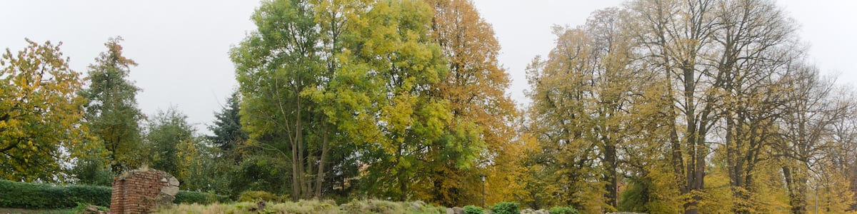 Photo "Gerdshagen Gutsmauer" by An-d (Creative Commons Attribution-Share Alike 3.0) / Cropped from original
