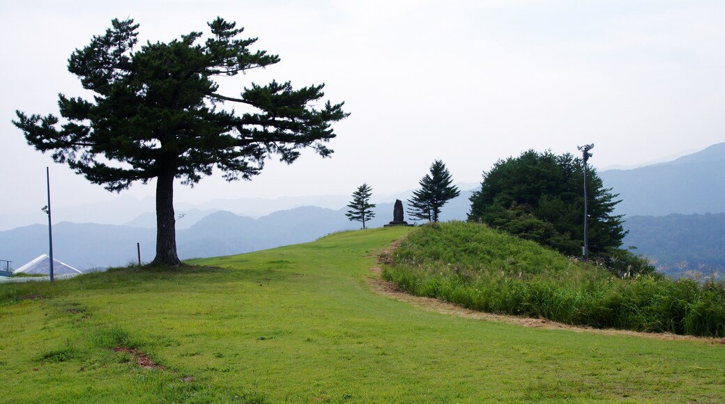 Foto "Hyonosen-Ushiroyama-Nagisan Quasi-National Park" di 663highland (CC BY) / Ritaglio dell’originale