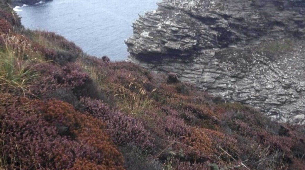 Foto "Trevalga" de Trevor Rickard (CC BY-SA) / Recortada do original