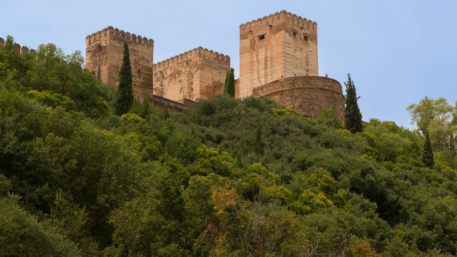 Photo "Alcazaba of Alhambra from below, rio Darro valley, Granada, Spain." by undefined (Creative Commons Zero, Public Domain Dedication) / Cropped from original