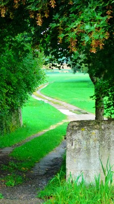 Walk This Way