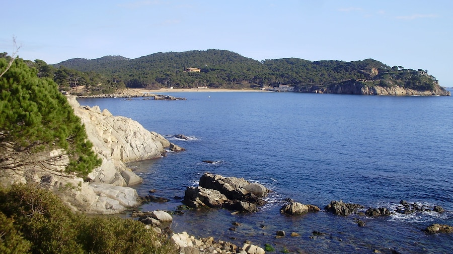 Photo "Vista platja de Castell-Camí de ronda Palamós a les Cales Cala Estreta (Costa Brava)" by klimmanet (Creative Commons Attribution 3.0) / Cropped from original