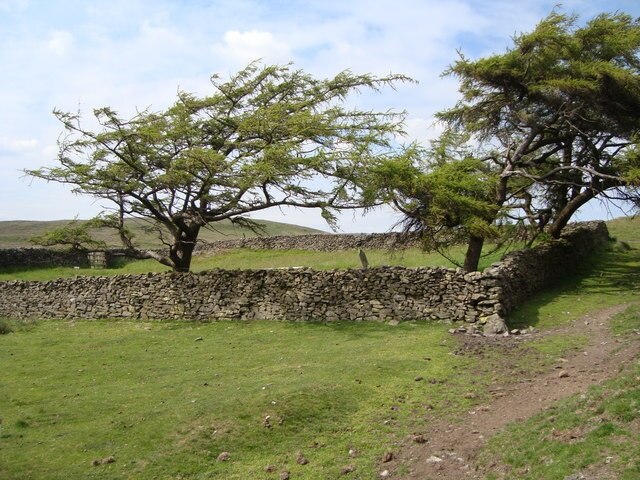 Foto „Firbank“ von David McMumm (CC BY-SA)/zugeschnittenes Original