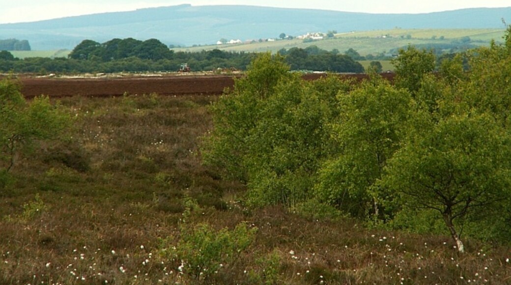 "Bolton Fell National Nature Reserve"-foto av Rose and Trev Clough (CC BY-SA) / Urklipp frÄn original
