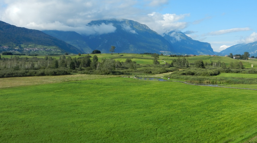 The biotope of Fiavè viewed from the viewpoint of Dos Gustinaci in Fiavè.