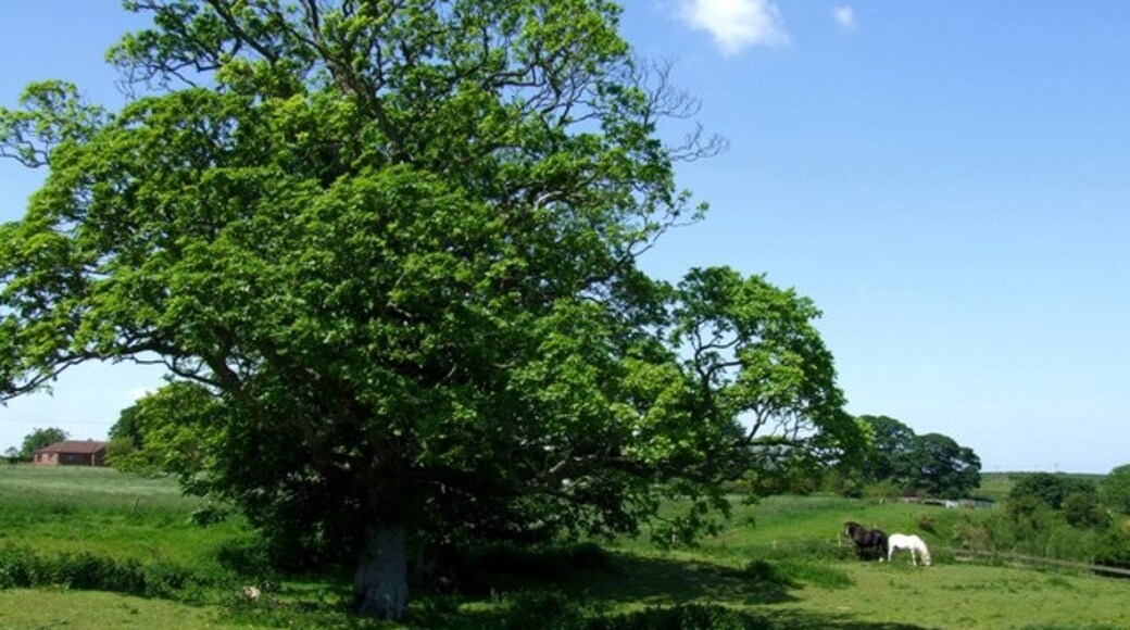 Kuva ”Lusby ja Winceby” käyttäjältä Dave Hitchborne (CC BY-SA) / rajattu alkuperäisestä kuvasta