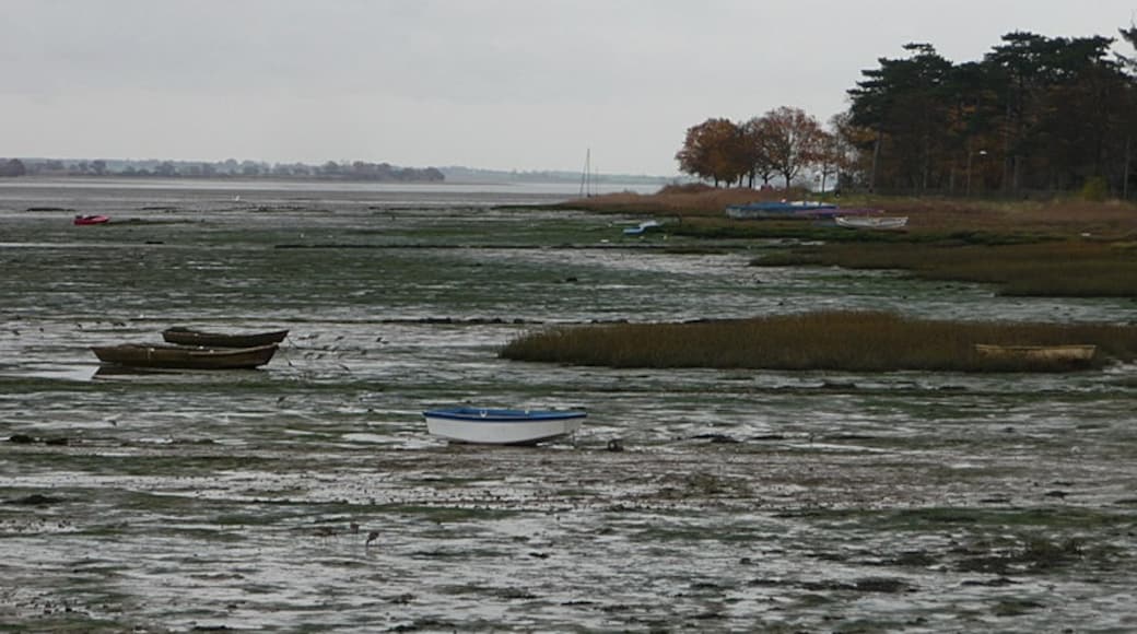 Photo "Manningtree" by Chris Gunns (CC BY-SA) / Cropped from original