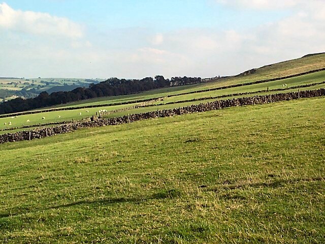 Foto “Weston” tomada por David Spencer (CC BY-SA); recorte de la original