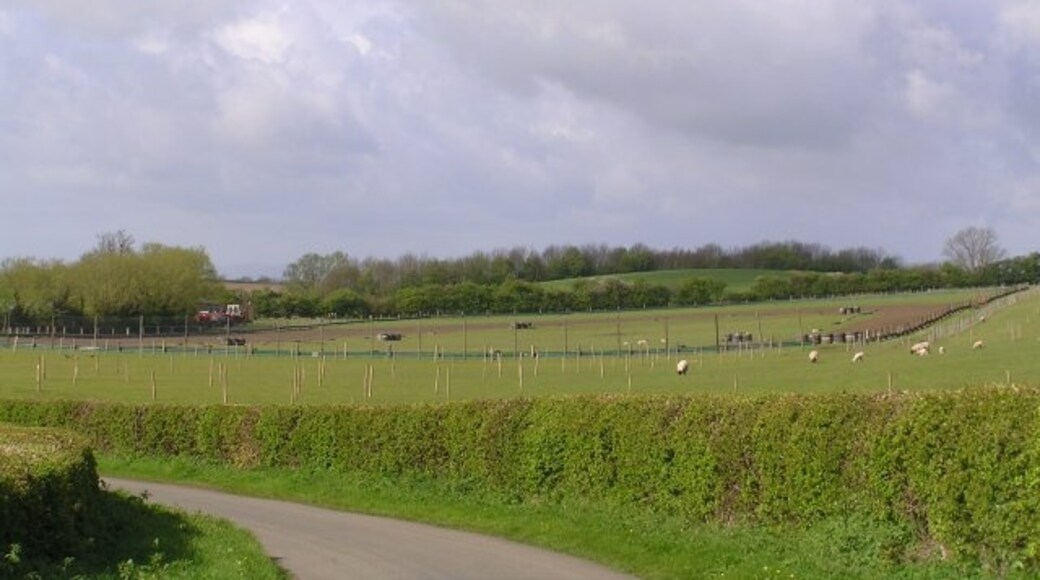 "Abberton"-foto av Richard Dunn (CC BY-SA) / Urklipp från original