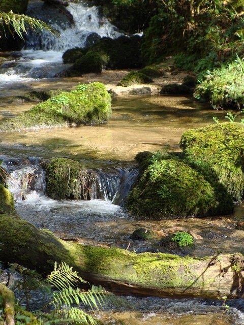 Stream near Constantine In the woods just north of the village.