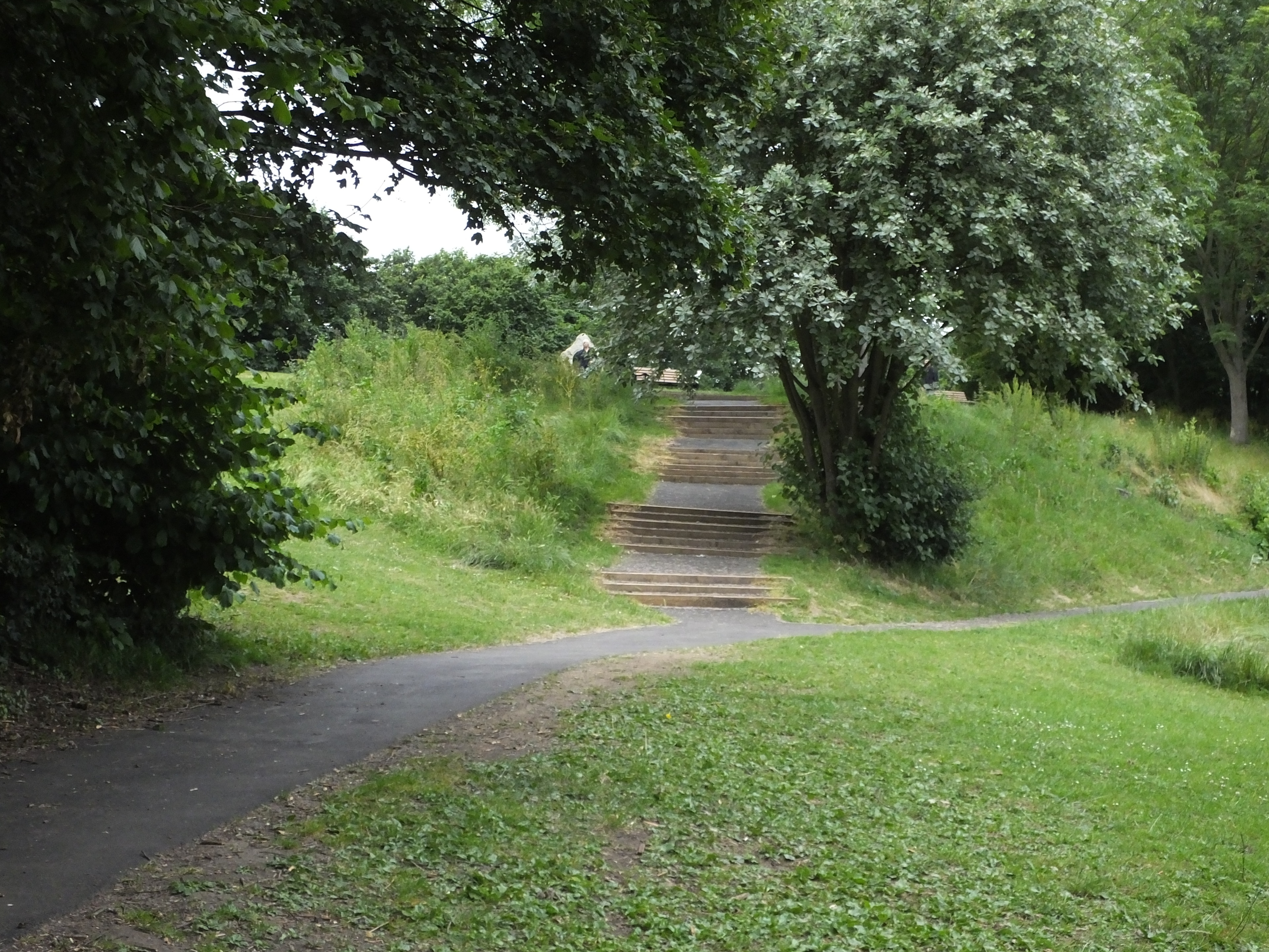 Foto "Wainscot" por Clem Rutter, Rochester, Kent (CC BY-SA) / Recortada de la original