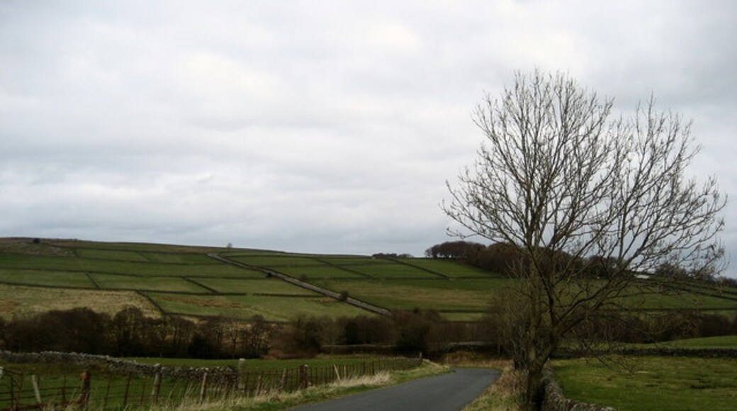 Foto “Thornthwaite con Padside” tomada por Chris Heaton (CC BY-SA); recorte de la original