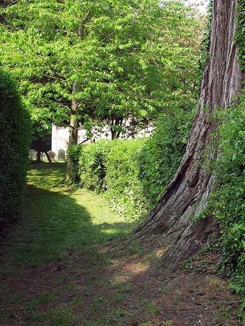 Kuva ”Ovington” käyttäjältä John Salmon (CC BY-SA) / rajattu alkuperäisestä kuvasta