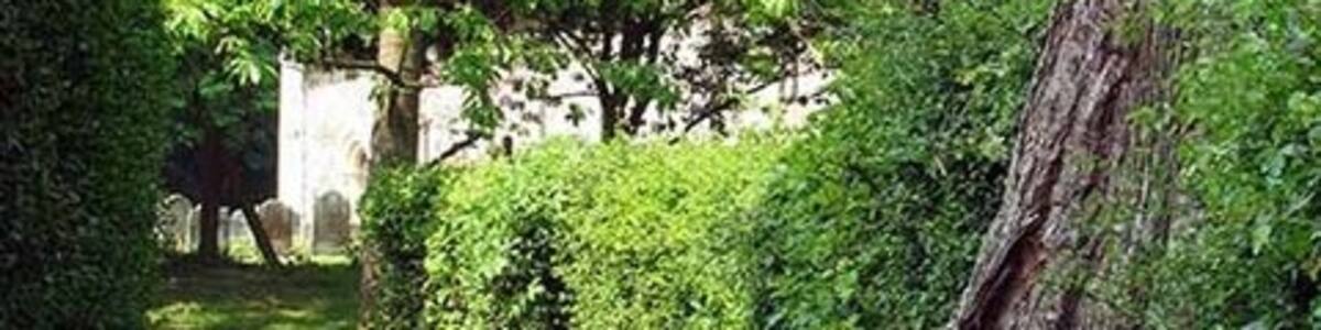 Photo "St John the Evangelist, Ovington Norfolk Path to church" by John Salmon (Creative Commons Attribution-Share Alike 2.0) / Cropped from original