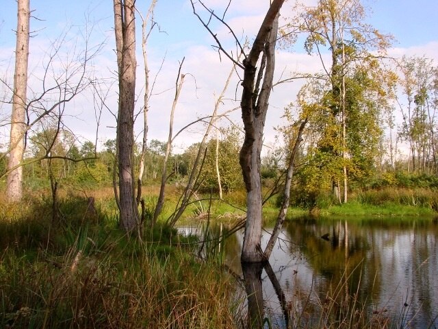 Foto "Hockham" de Lisa Wild (CC BY-SA) / Recortada do original