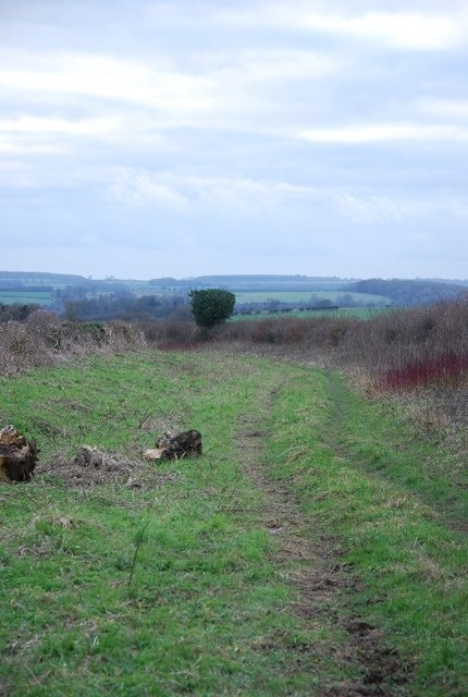 Parish Boundary Footpath (bridleway)