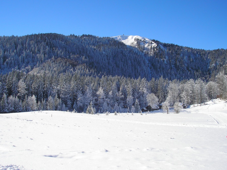 Blick auf den Seebuck.