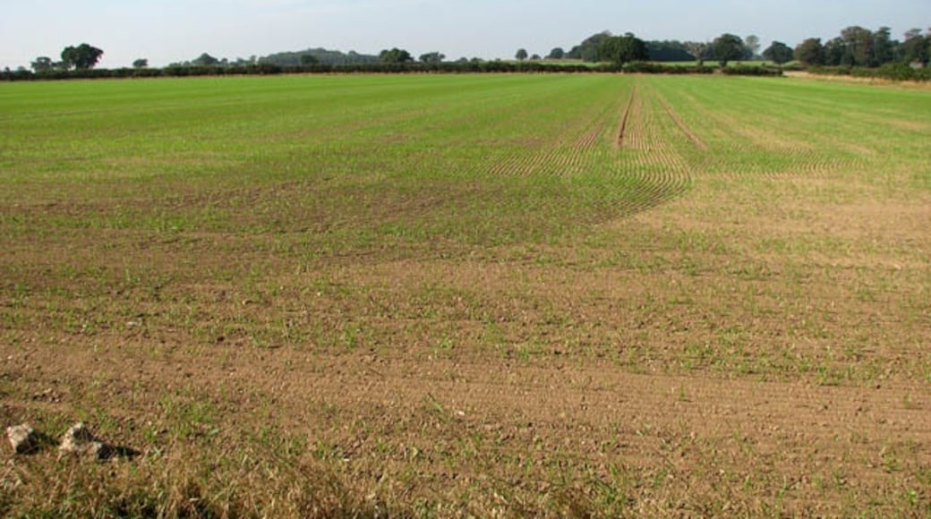 Foto „Somerleyton“ von Evelyn Simak (CC BY-SA)/zugeschnittenes Original