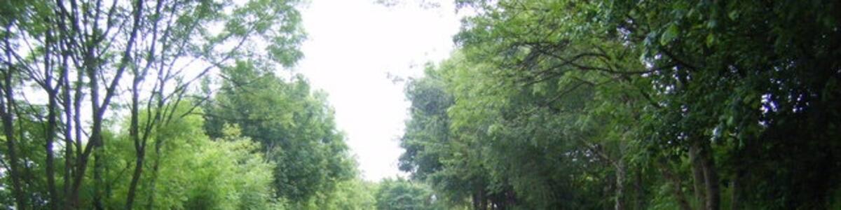 Photo "Sunniside Station on the Tanfield Railway in County Durham" by brian clark (Creative Commons Attribution-Share Alike 2.0) / Cropped from original