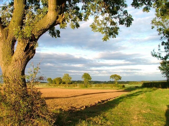 Foto “Whorlton” tomada por Mick Garratt (CC BY-SA); recorte de la original