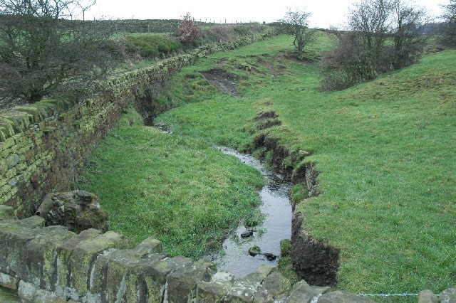 Stream and bridlepath near Upper Cumberworth. This stream is one of the upper tributaries of the River Dearne, which eventually joins the Don near Doncaster. Green patches of Bilberry line the bridlepath banks.