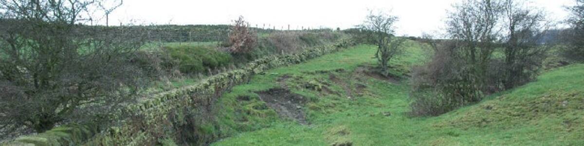 Photo "Stream and bridlepath near Upper Cumberworth. This stream is one of the upper tributaries of the River Dearne, which eventually joins the Don near Doncaster. Green patches of Bilberry line the bridlepath banks." by Chris Yeates (Creative Commons Attribution-Share Alike 2.0) / Cropped from original