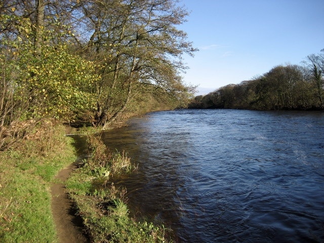 River Tees West of Gainford A tranquil stretch of river accompanied by the Teesdale Way.