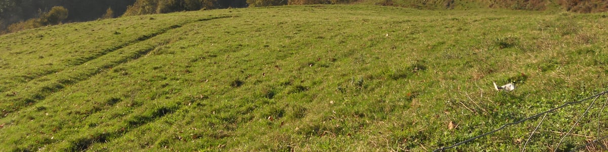 Photo "Vista de Torin desde Mones ( Piloña , Asturias )" by McBodes (Creative Commons Attribution 3.0) / Cropped from original