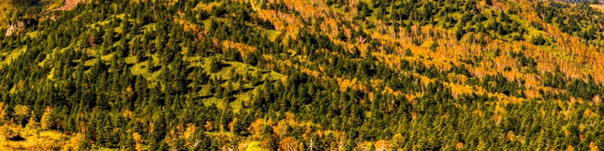 Photo "Mount Kasagatake seen from the East." by 姐夫 吳 (Creative Commons Attribution 2.0) / Cropped from original