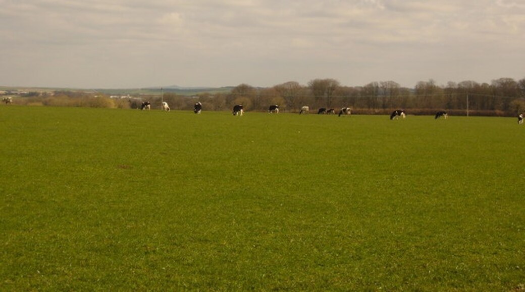 Foto "Bryanston" por Simon Scurr (CC BY-SA) / Recortada de la original