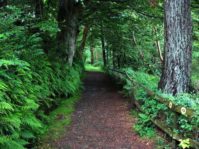 part of the Mines Trail, Laxey Wheel