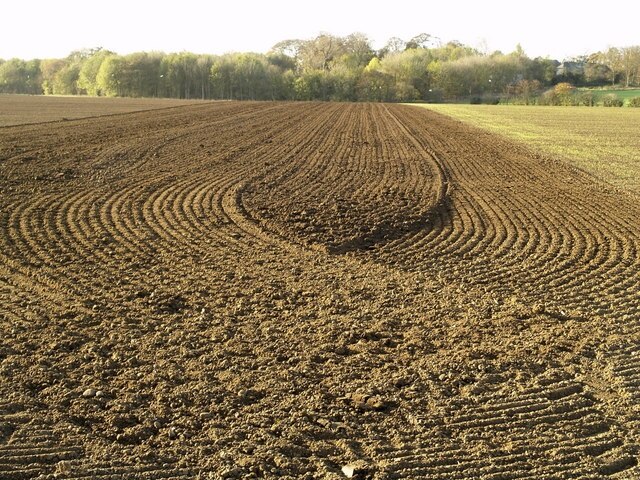 Photo "Elstronwick" by Andy Beecroft (CC BY-SA) / Cropped from original