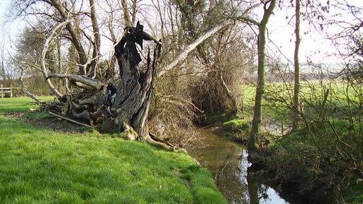 "Haddon"-foto av Ken Brockway (CC BY-SA) / Urklipp från original