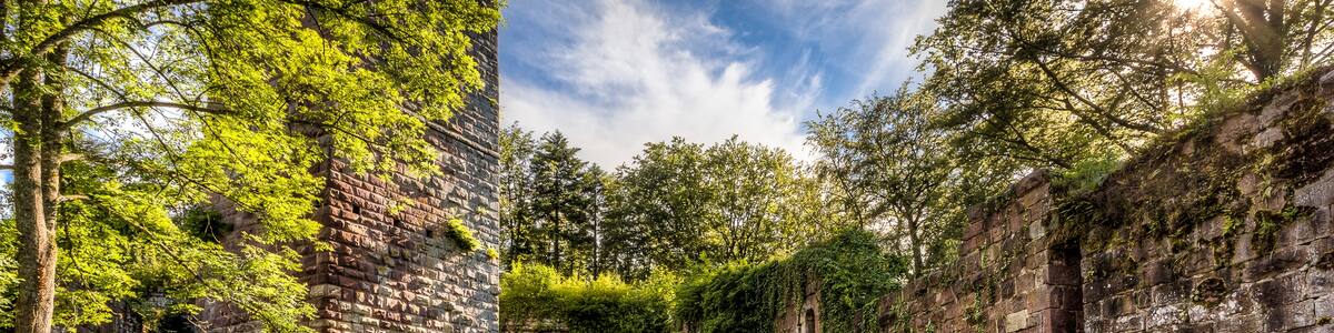 Photo "Burg Wildenberg - Innenhof mit Bergfried" by Carsten Frenzl (Creative Commons Attribution 2.0) / Cropped from original