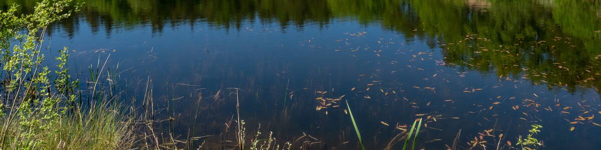 Photo "Muggenbach clay pits. Red Pit. WDPA ID 555521085" by Ermell (Creative Commons Attribution-Share Alike 4.0) / Cropped from original