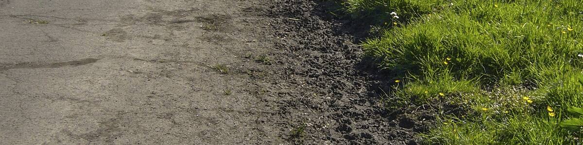 Photo "long curve, Leverhulme park, darcy lever, bolton" by Mitt Doot (Creative Commons Attribution 3.0) / Cropped from original