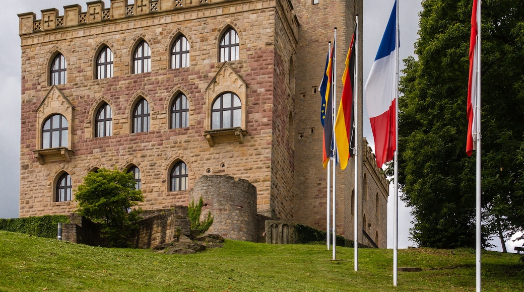 照片“汉巴赫城堡” 拍摄者：F. Riedelio（CC BY-SA）原片经过裁剪