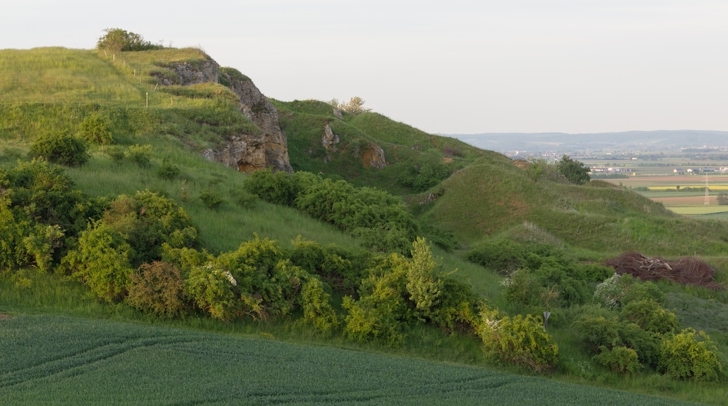 Photo "Bopfingen" by Engineeredphotography (page does not exist) (CC BY-SA) / Cropped from original