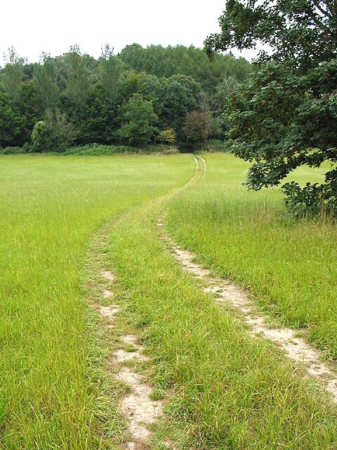 Photo "Taynton" by Pauline Eccles (CC BY-SA) / Cropped from original