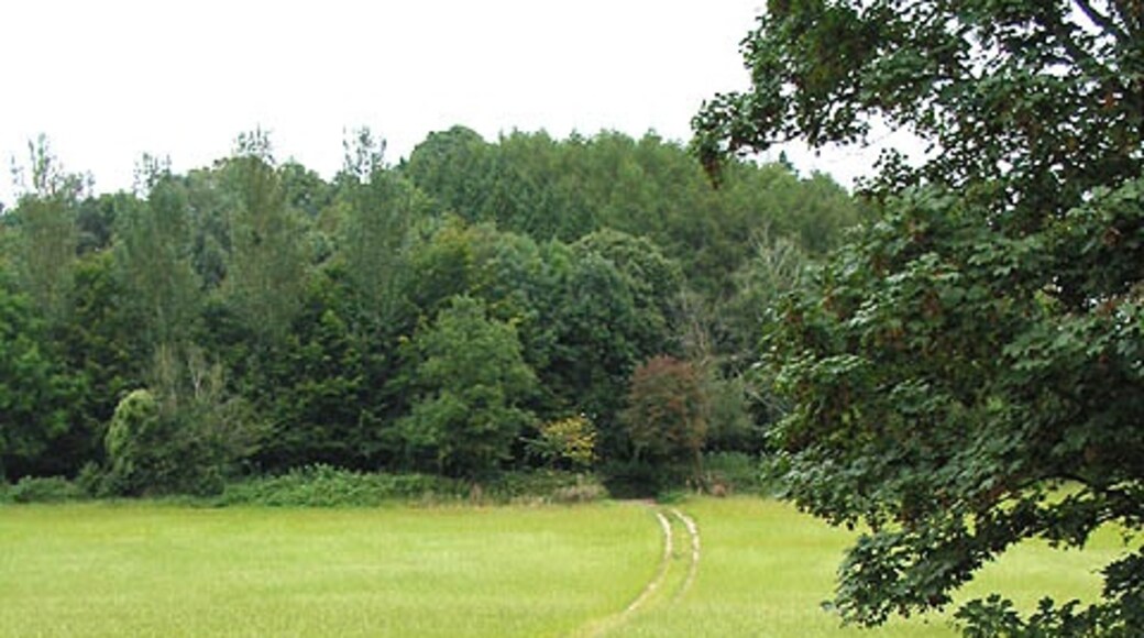 Billede "Taynton" af Pauline Eccles (CC BY-SA) / beskåret fra det originale billede