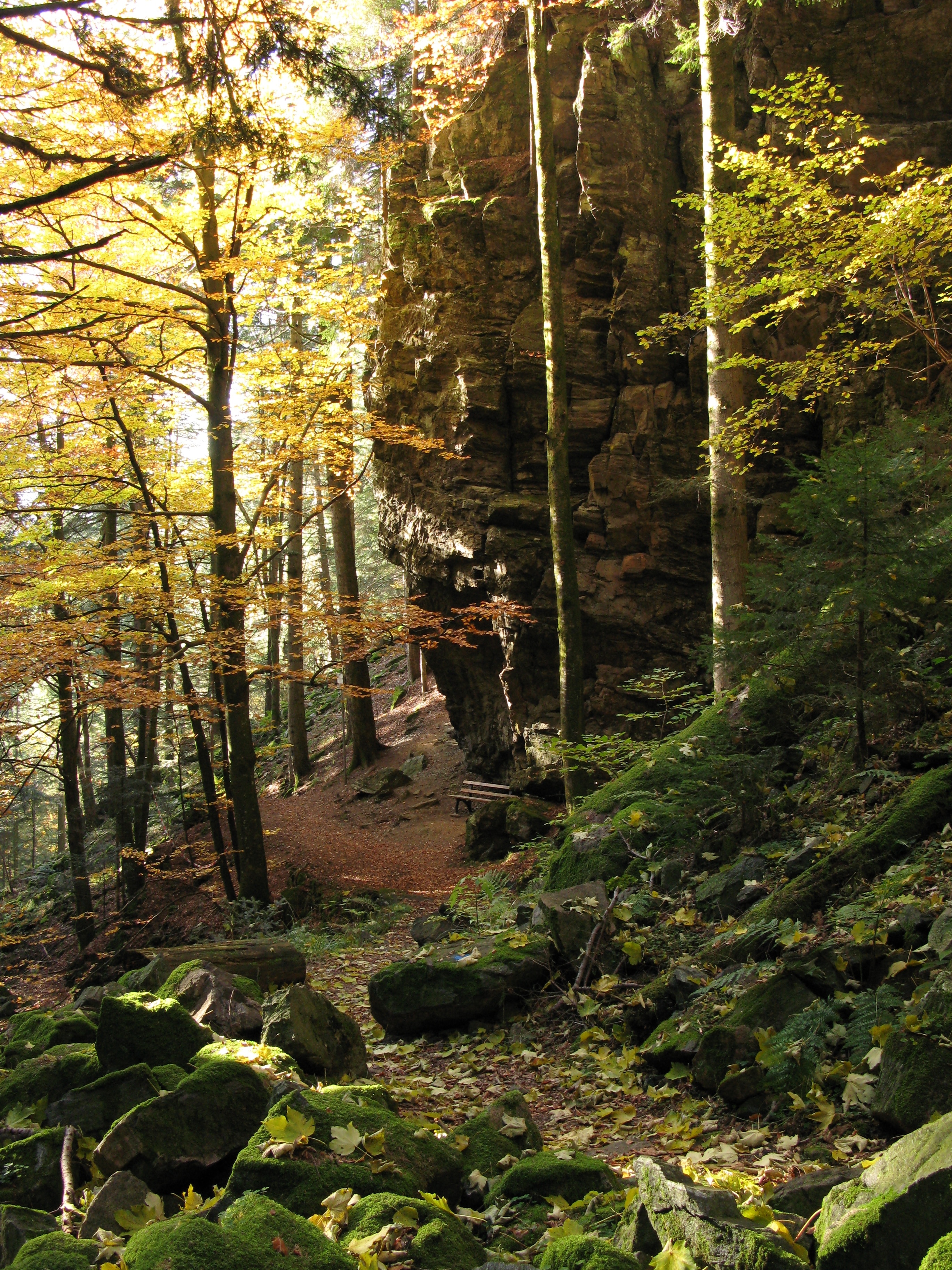 Ảnh "Guetenbach" của Adrian Thomale (CC BY-SA) / Cắt từ ảnh gốc