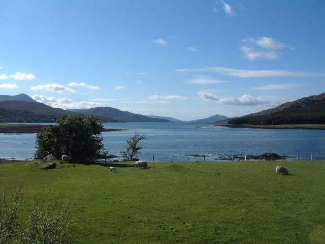 Grazings by Rubha Garbh. The island of Scalpay can be seen to the right