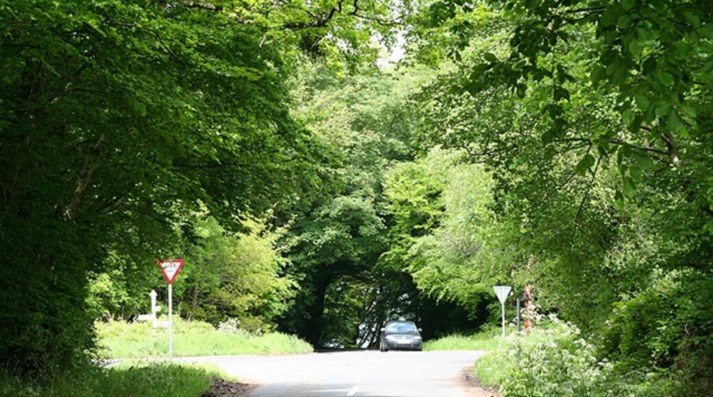 "Wellington Without"-foto av Martin Bodman (CC BY-SA) / Urklipp från original