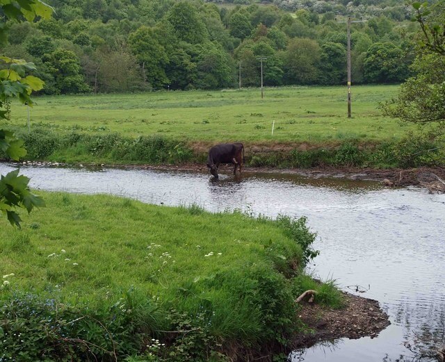 "Hunshelf"-foto av Steve F (CC BY-SA) / Urklipp från original